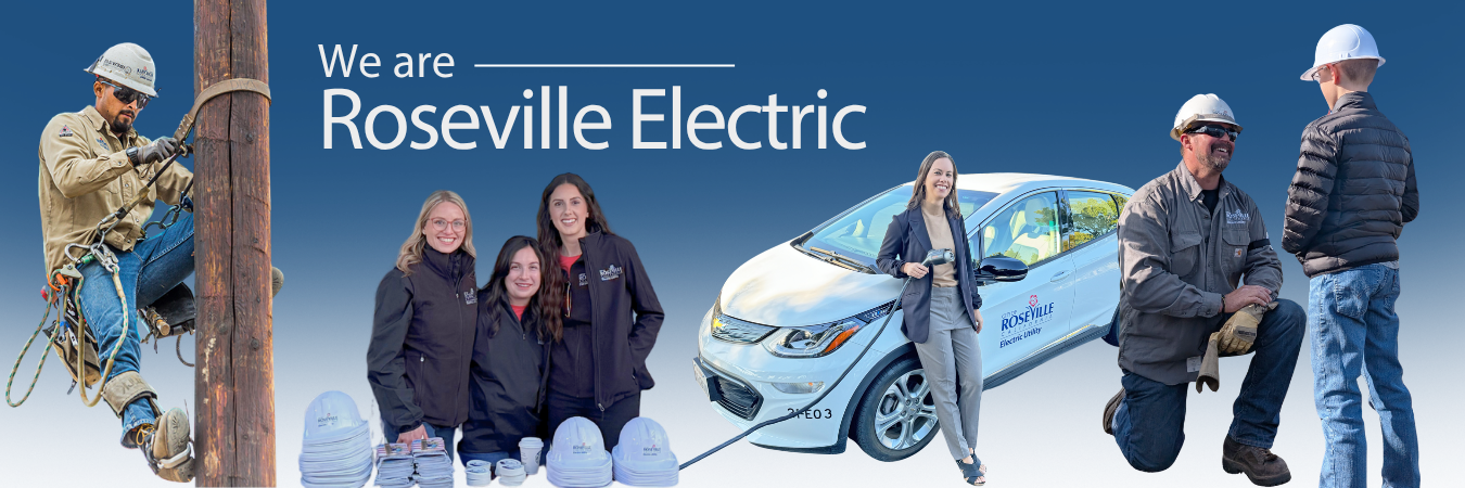 We are Roseville Electric employee collage